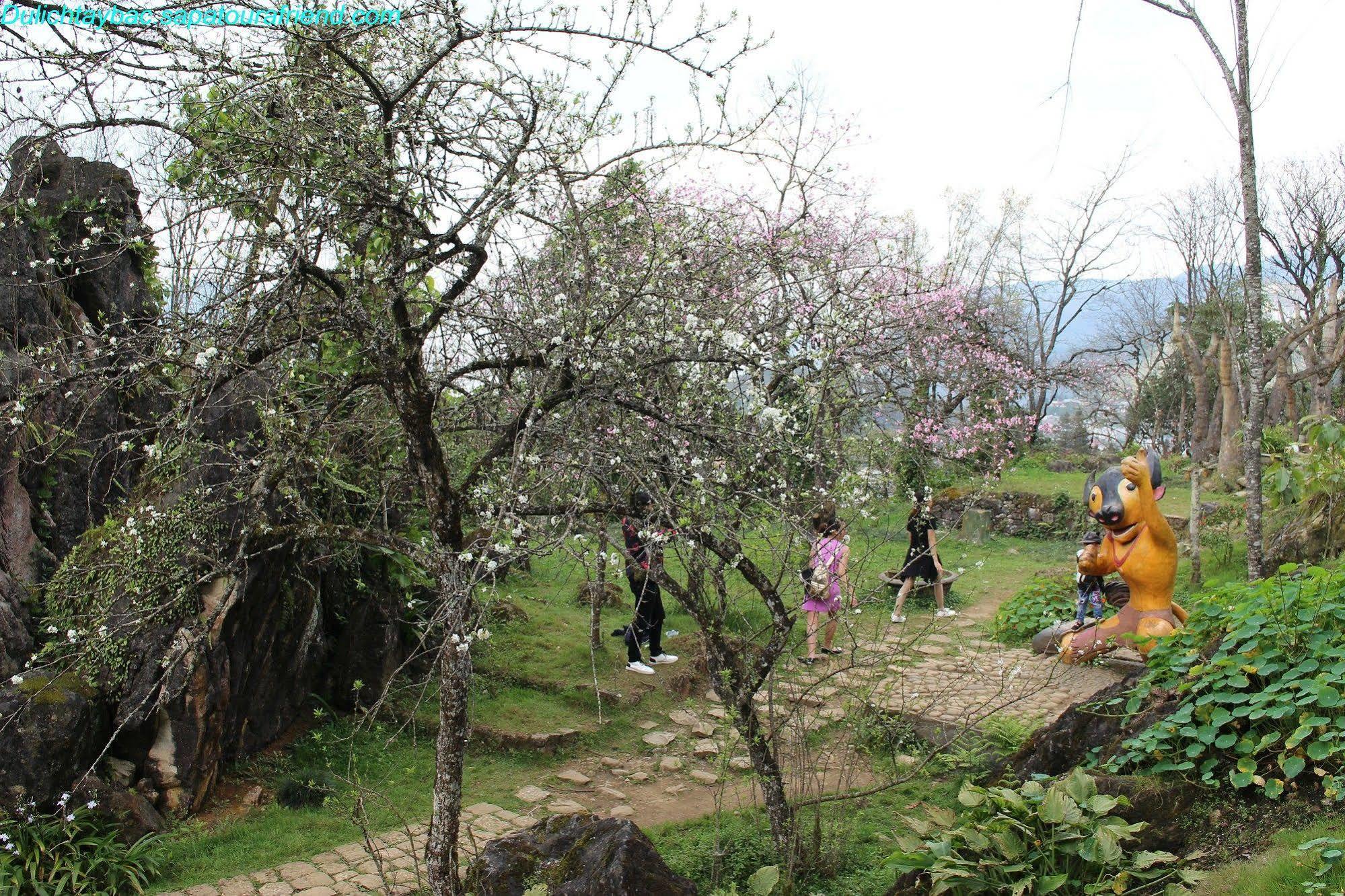 Sapa Sunflower Hotel Exterior foto